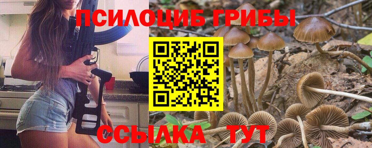 Псилоцибиновые грибы мицелий  Вход с VPN  купить наркоту  Туймазы 